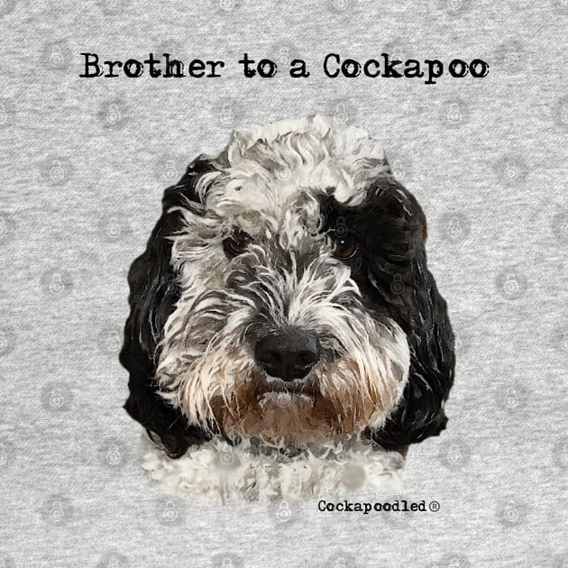 Cockapoo Dog Brother by WoofnDoodle 